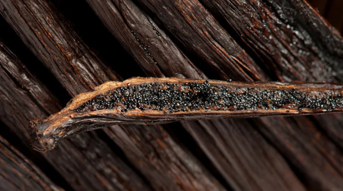 Fragrance Trends 2025: Vanilla, the Star Ingredient
